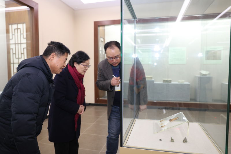 省文物局领导考察《历程——安阳考古三十年展》